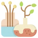 Free Vase  Icon