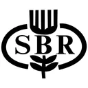 Free Sbr Bank Logo Symbol