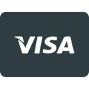 Free Visa Electron Payments Icon