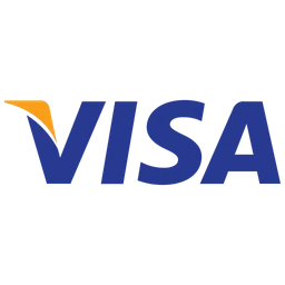 Free Visa Credit Card  Icon