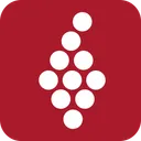 Free Vivino Brand Logo Icon