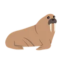 Free Walrus Aquatic Marine Icon