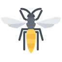 Free Wasp  Icon