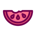 Free Wassermelonenscheiben Bio Obst Icon