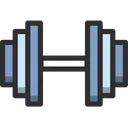 Free Weight  Icon