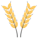 Free Wheat Ear Ear Corn Grain Icon