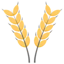 Free Wheat Ear Ear Corn Grain Icon