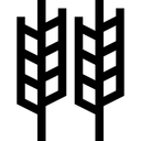 Free Wheat Aitbenhaddou Arganoil Icon