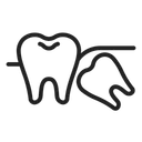 Free Wisdom Tooth Tooth Molar Icon