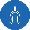 Free Wishbone Superstition Tradition Icon