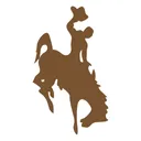 Free Wyoming Cowboys Company Icon