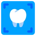 Free X Ray X Rays Dental Icon