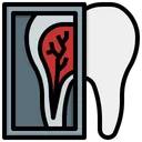 Free X Ray  Icon