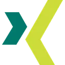 Free Xing Social Media Logo Logo Icon