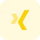 Free Xing  Icon