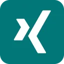 Free Xing Brand Logo Icon