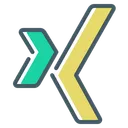 Free Xing Icon