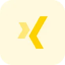 Free Xing  Icon