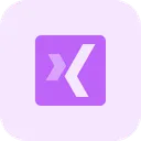 Free Xing Icon