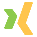 Free Xing Icon