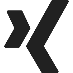 Free Xing Logo Icon