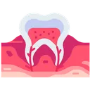 Free Zahnnerv  Symbol