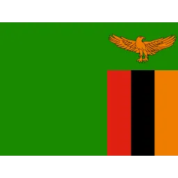 Free Zambia Flag Icono