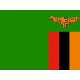 Free Zambia Flag Icon