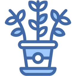 Free Zz plant  Icon