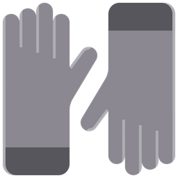Gloves Icon