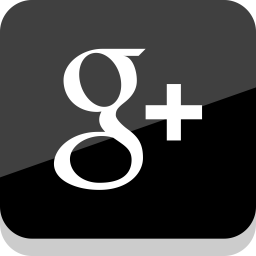Google Plus Logo Icon - Download in Flat Style