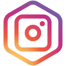Instagram Logo Icon