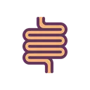 Intestine Anatomy Internal Icon