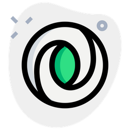 Json Logo Icon