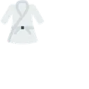 Karate Combat Belt Icon