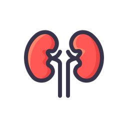 kidney icon of colored outline style available in svg png eps ai icon fonts kidney icon of colored outline style