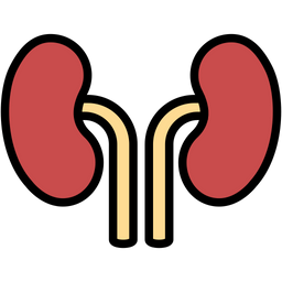 Kidney Heart Svg