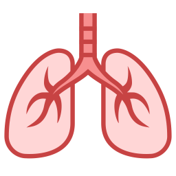 Lungs Icon Of Colored Outline Style Available In Svg Png Eps Ai Icon Fonts