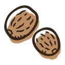 Nutmeg Herb Spice Icon