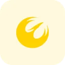 Phoenix Squadron Technology Logo Social Media Logo Icon