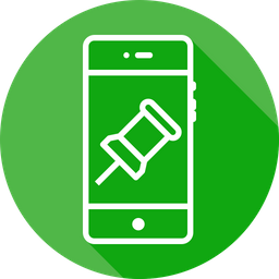 Pin Icon