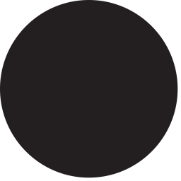 Point Icon