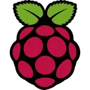 Raspberry Pi Logo Icon