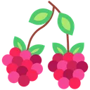 Raspberry Berry Berries Icon