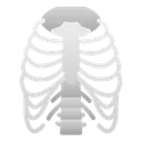 Ribs Human Organ Icon