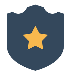 Shield Icon