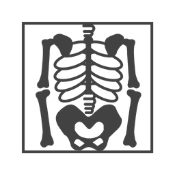 Skeleton Icon