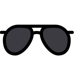 Sun glasses Icon