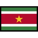 Suriname Flag Icon