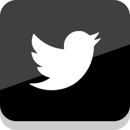 Twitter Icon